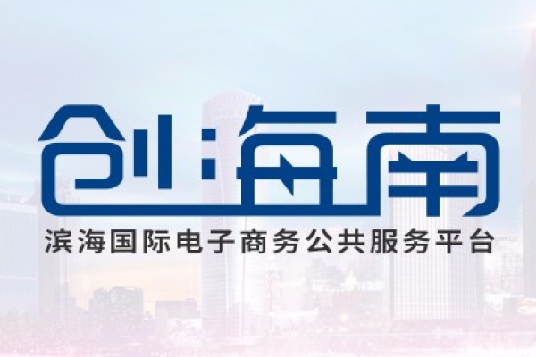 濱海國(guó)際電子商務(wù)公共服務(wù)平臺(tái)（創(chuàng)海南）