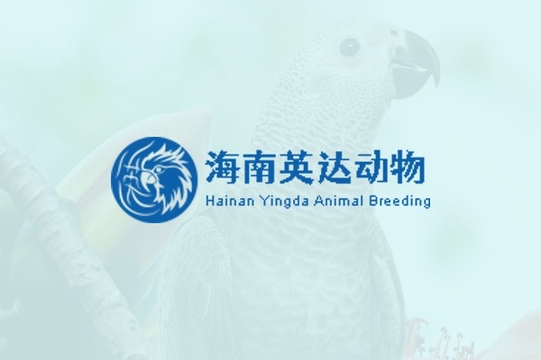 海南英達(dá)動(dòng)物養(yǎng)殖有限公司